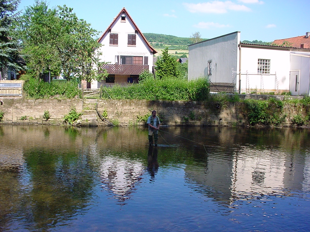 Fliegenfischen Niederrhein